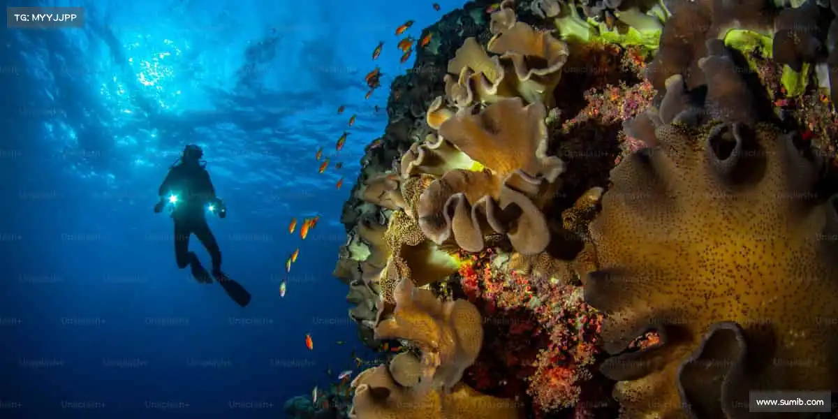 金年会官方网站入口——🏇✨ 马背上的骄傲，飞驰人生！